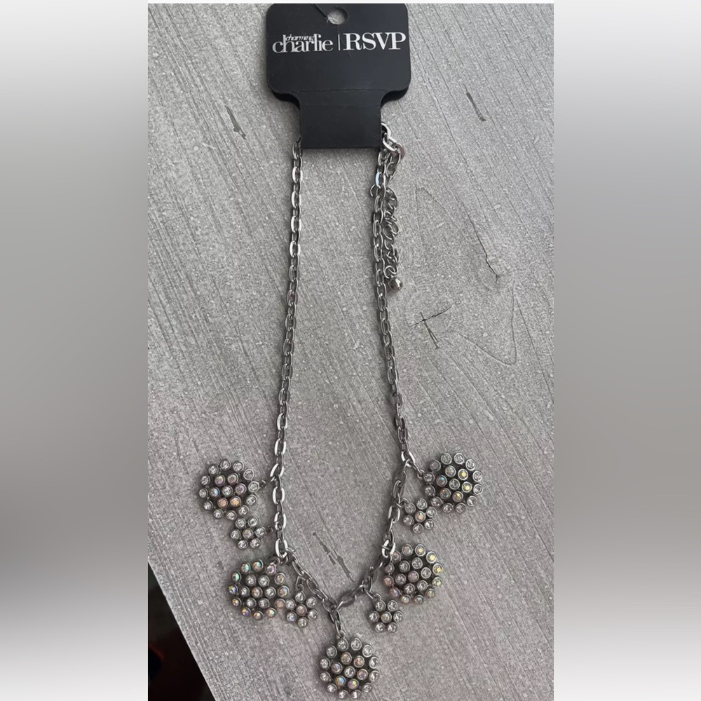 Charming  Charlie Necklace